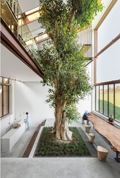 The Greenary