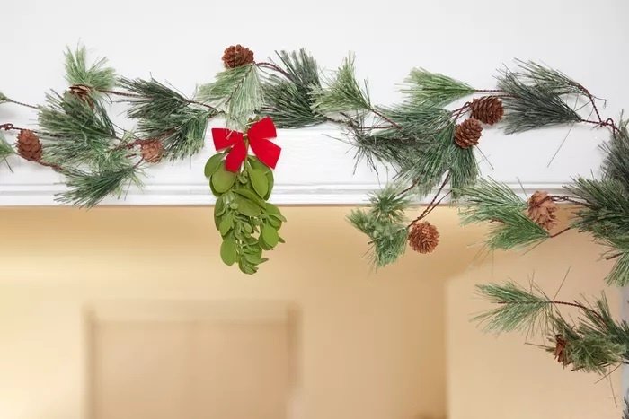 Pourquoi met-on du gui dans les maisons à Noël Pourquoi met-on du gui dans les maisons à Noël
