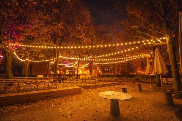 éclairage est le plus important pour une décoration guinguette