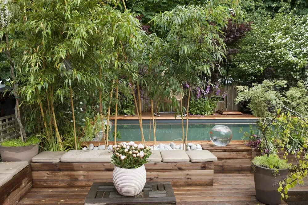 Décoration autour de la piscine avec du bambou Décoration autour de la piscine avec du bambou