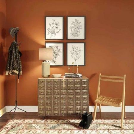 La couleur terracotta pour les murs 1