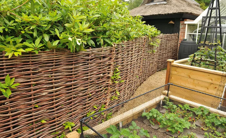 Clôturer son potager avec un grillage ou un treillis