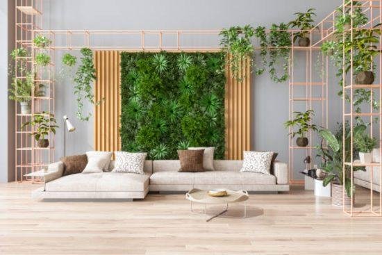 Comment créer un mur végétal intérieur chez soi