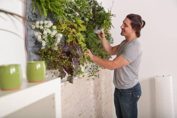 Comment entretenir un mur végétal intérieur pour pas cher