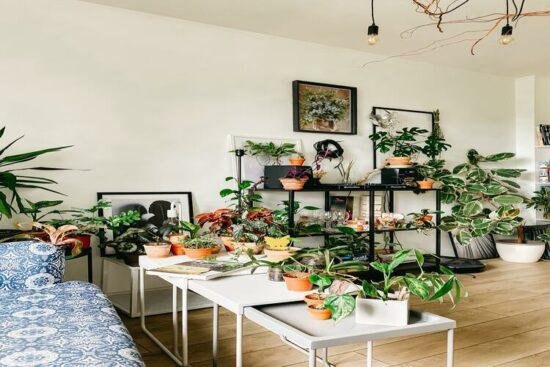 Pourquoi la céramique est actuellement tendance dans la décoration