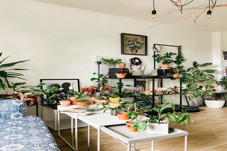 Pourquoi la céramique est actuellement tendance dans la décoration