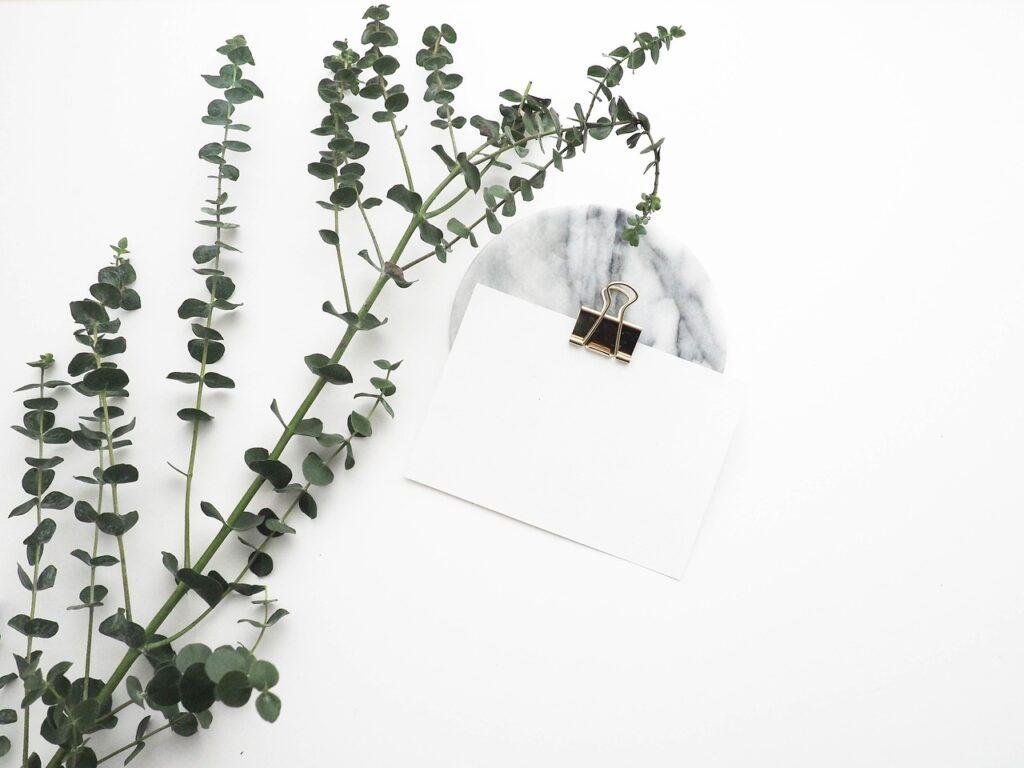 Pourquoi miser sur les plantes artificielles pour la décoration intérieure