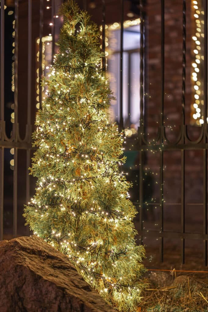 sapins aérée décorés avec quelques très belles pièces en verre, une guirlande lumineuse fil de cuivre quasi invisible