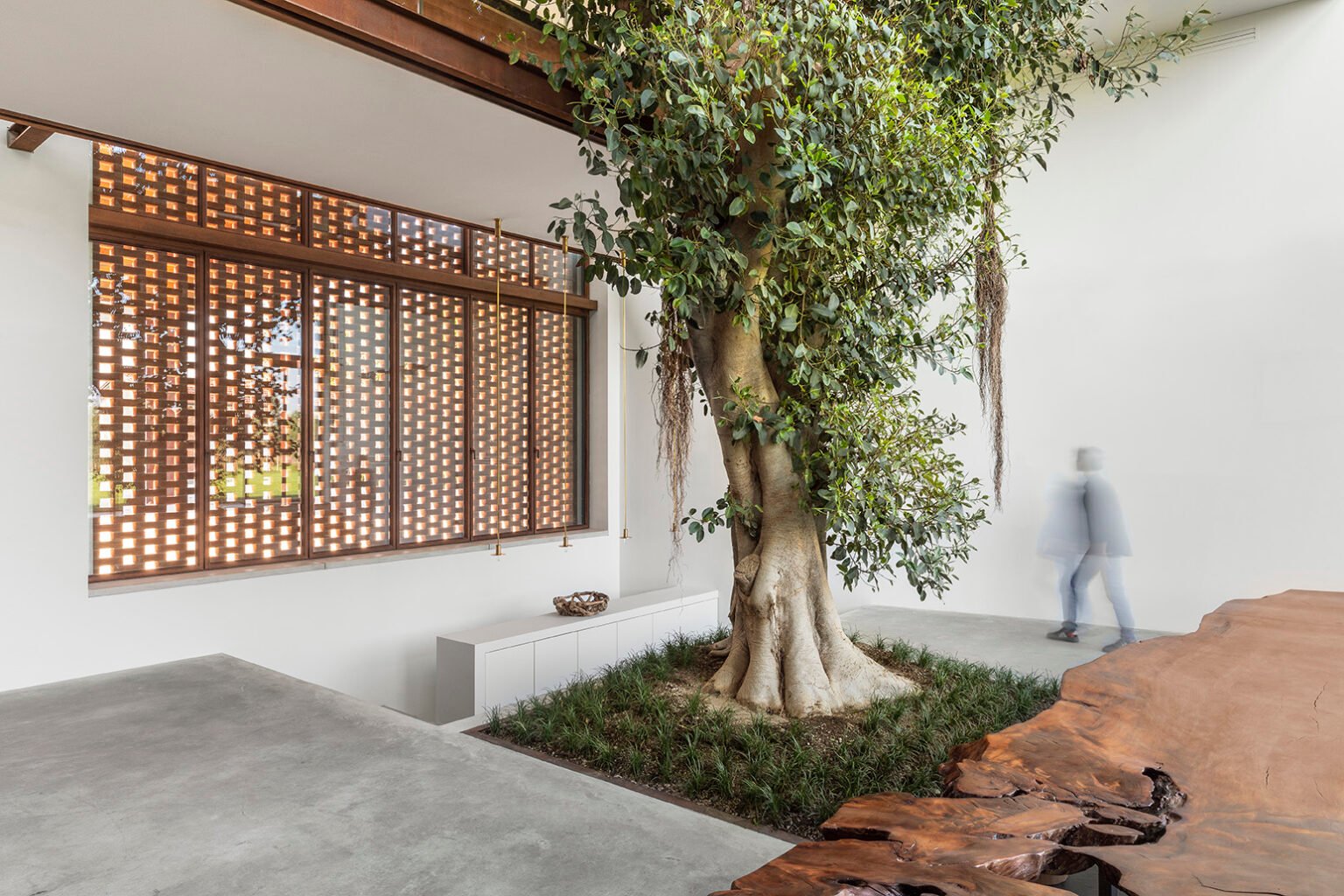 The Greenary la ferme italienne où l'arbre est roi
