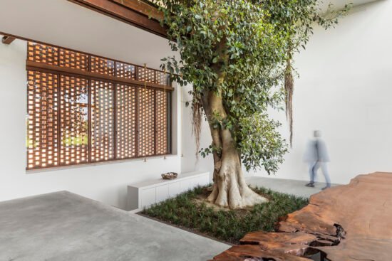 The Greenary la ferme italienne où l'arbre est roi
