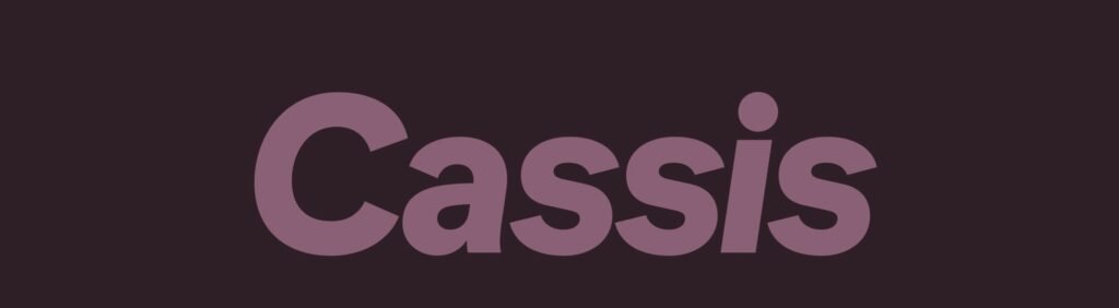 Cassis 351E28 le bordeaux profond réservé aux experts Cassis 351E28 le bordeaux profond réservé aux experts